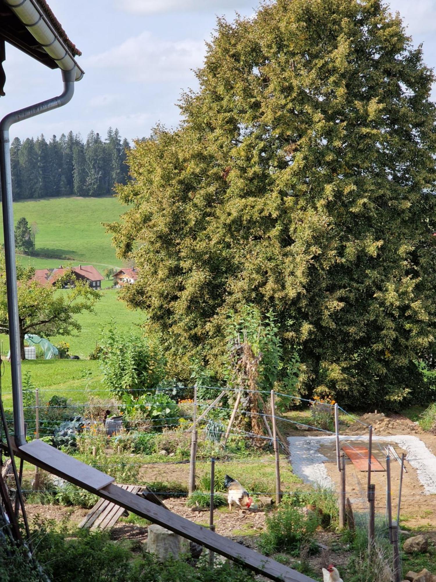 Der Perfekte Ausgangspunkt Apartment Weiler-Simmerberg Luaran gambar